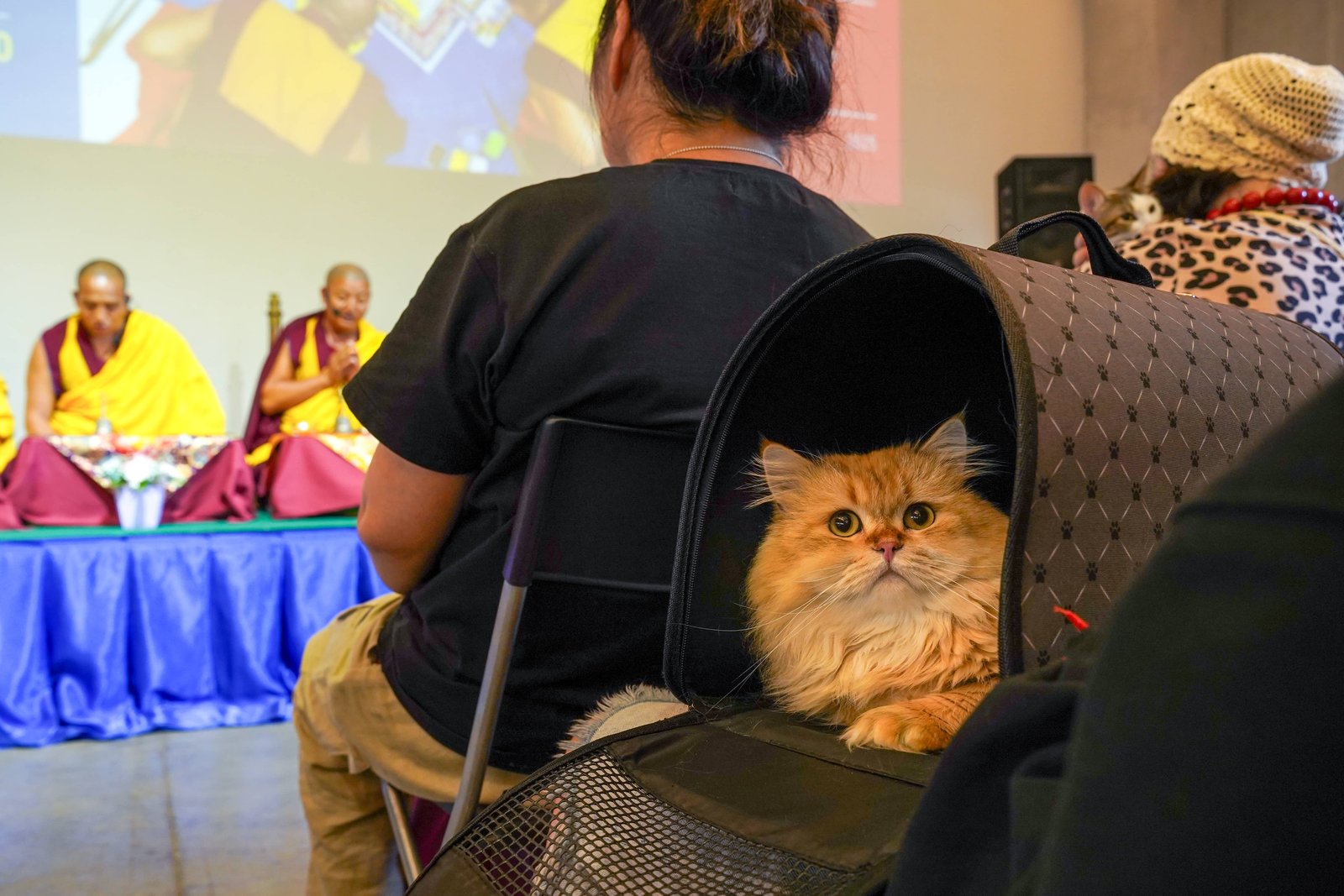 Буддийский фестиваль благой удачи