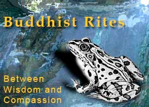 Штраф за спасение жизни