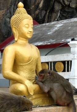 Будда и животные