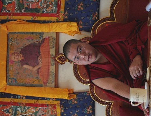 Досточтимый Линг Ринпоче дарует в Бодхгае учения по сочинению Чже Цонкапы «Основа всех благих достоинств» и посвящение Желтого Дзамбалы