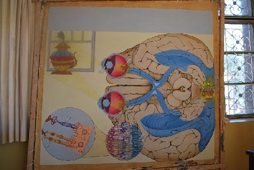 Взгляд на науку через призму духовности. Совместный проект тибетских монахов и Смитсоновского центра