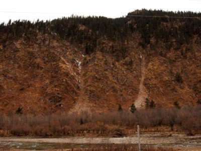 В Сычуане рубят вековые деревья, чтобы построить дома для кочевников