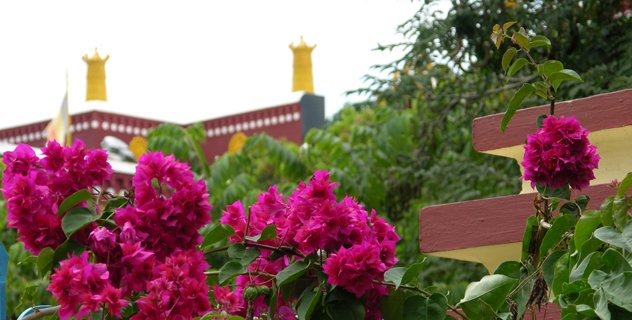 Роберт Турман. Путь тибетского монаха Роберт Турман. Путь тибетского монаха