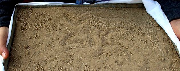 Изгнанники прикоснулись к родной земле