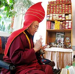 В Россию приезжает досточтимый кхенпо Цеванг Донгьял Ринпоче
