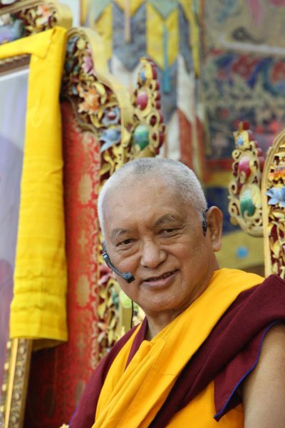 Непричинение вреда: заботимся о насекомых