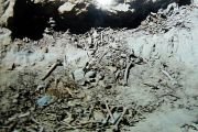 Кости казненных (фото в Мемориальном музее жертв политических репрессий, г. Улан-Батор).