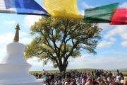В Калмыкии освятили восемь буддийских ступ у Одинокого дерева