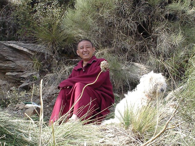 Девять вопросов о вегетарианстве