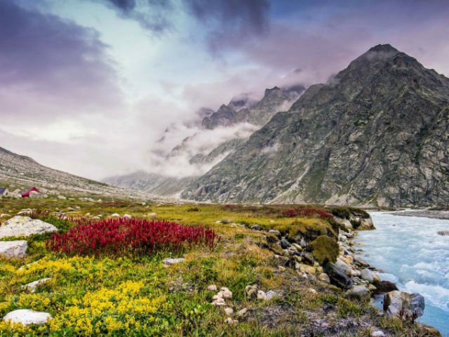 Расселению фермеров по территории высокогорного Тибета способствовал ячмень