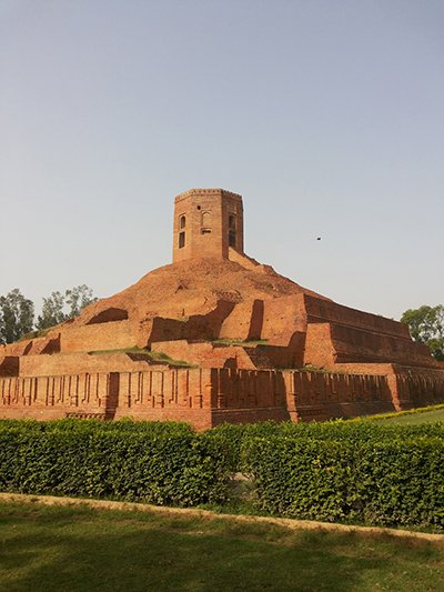 Cад духовной мудрости