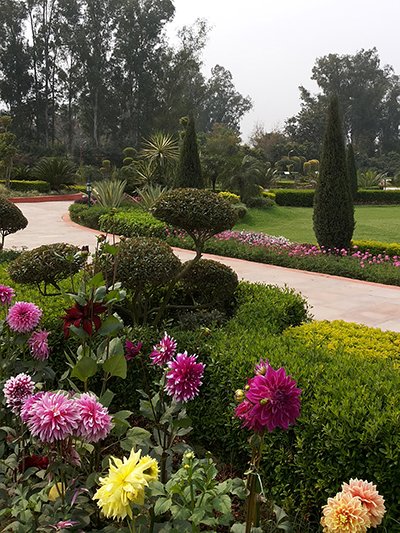 Cад духовной мудрости