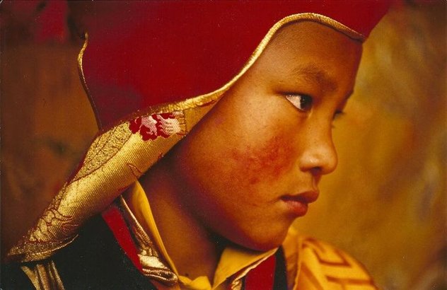 Кармапа. Жизнь, полная смысла