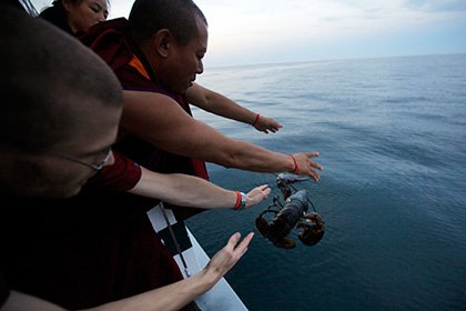 Буддийские монахи выкупили и отпустили 270 килограммов лобстеров