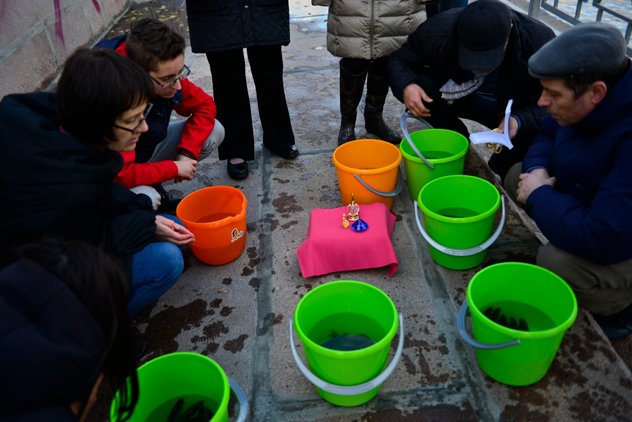 Практика освобождения животных: кого, зачем, когда и как. Комментарии учителей и учеников Практика освобождения животных: кого, зачем, когда и как. Комментарии учителей и учеников