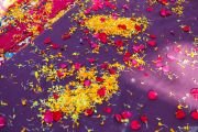 По инициативе Кармапы сделан первый шаг к восстановлению полных обетов для монахинь тибетской традиции