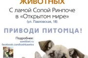 «Подарить мир и покой сердцам животным». Лама Сопа проведет в Москве уникальную церемонию благословения домашних питомцев «Подарить мир и покой сердцам животным». Лама Сопа проведет в Москве уникальную церемонию благословения домашних питомцев