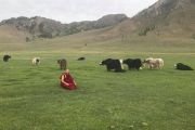 Досточтимый Шивалха Ринпоче провел в Монголии учения для учеников из Тувы