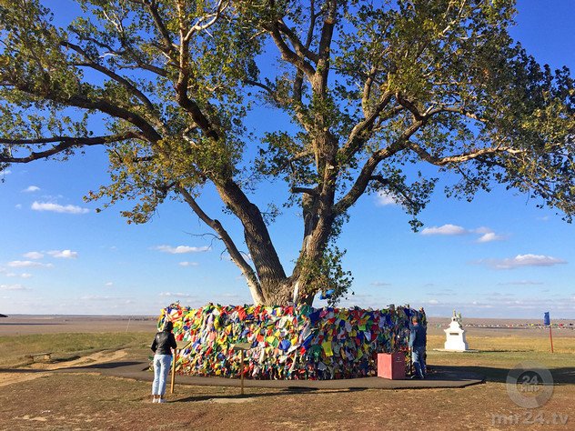 Екатерина Дегтерева. Почему путешествие в Калмыкию не хуже, чем в Тибет