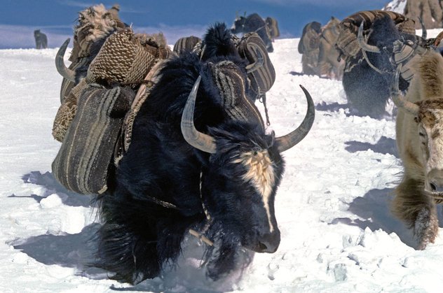 Знакомство с тибетскими обычаями. Почему вьючные мешки ткут с узором в полоску