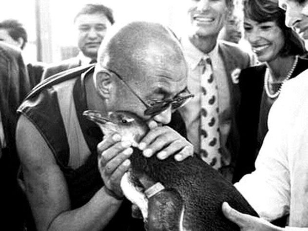 Далай-лама: уроки сострадания остановят истребление животных