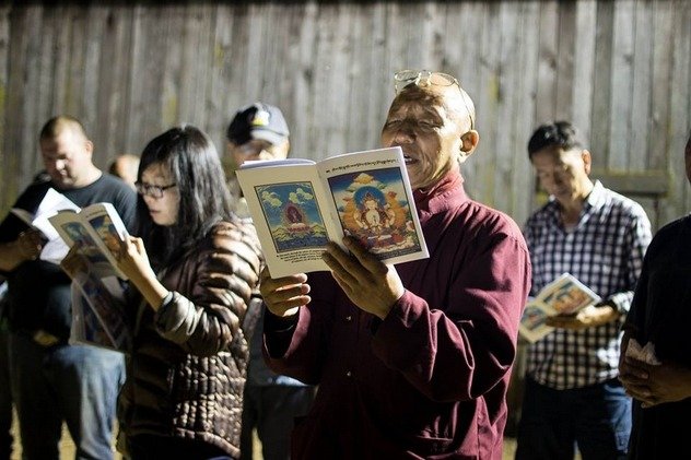 Сельскохозяйственные животные, спасенные буддистами, обретают новую жизнь