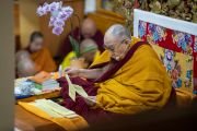 Его Святейшество Далай-лама читает строфы из сочинения Бхававивеки «Сущность Срединного пути» во время второго дня учений в главном тибетском храме. Дхарамсала, Индия. 21 февраля 2019 г. Фото: Тензин Чойджор.
