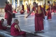 Фоторепортаж. Прекрасные мгновения учений Его Святейшества Далай-ламы в Дхарамсале