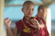 Фоторепортаж. Прекрасные мгновения учений Его Святейшества Далай-ламы в Дхарамсале
