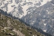 Фоторепортаж. Прекрасные мгновения учений Его Святейшества Далай-ламы в Дхарамсале