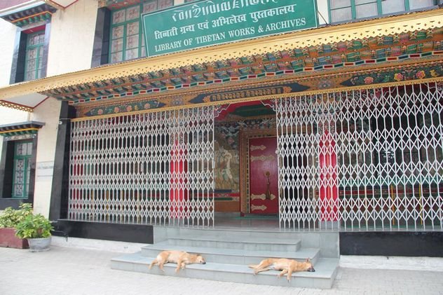 Миру нужна новая концепция образования с альтруизмом, заявили в Индии