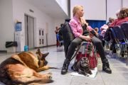 Фоторепортаж. День помощи животным с ламой Сопой Ринпоче – 2019