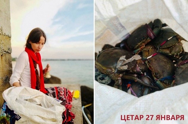 Издательство «Нартанг» организовало регулярные цетары на Шри-Ланке