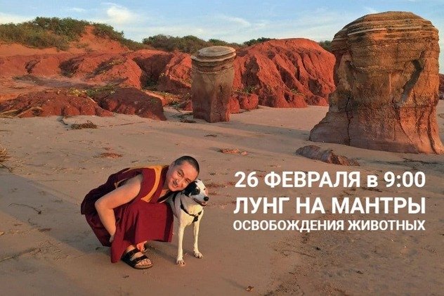Видео. Геше Тензин Сопа. Устная передача мантр для благословения животных Видео. Геше Тензин Сопа. Устная передача мантр для благословения животных