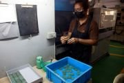 В Таиланде начали делать буддийские амулеты из мусора, чтобы побороть кризис отходов