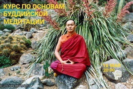 С 16 мая начинается курс по основам буддийской медитации петербургского центра Арьядевы