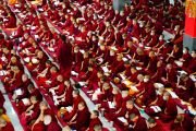 41-му Сакья Тричену Ринпоче поднесен молебен о долгой жизни