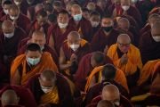 Монахи получают благословение 21 Тары от Его Святейшества Далай-ламы в заключительный день учений на площадке Калачакры. Бодхгая, штат Бихар, Индия. 31 декабря 2022 года. Фото: Тензин Чойджор (офис ЕСДЛ).