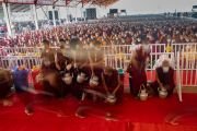Монахи бегут, разнося чай собравшимся на площадке Калачакры 65 000 человек, присутствующим на заключительном дне учений. Бодхгая, штат Бихар, Индия. 31 декабря 2022 года. Фото: Тензин Чойджор (офис ЕСДЛ).