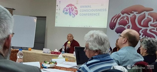 Далай-лама рассказал, как человечеству прекратить все войны Далай-лама рассказал, как человечеству прекратить все войны