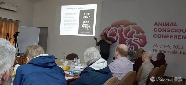 Далай-лама ответил на вопрос, есть ли сознание у животных Далай-лама ответил на вопрос, есть ли сознание у животных