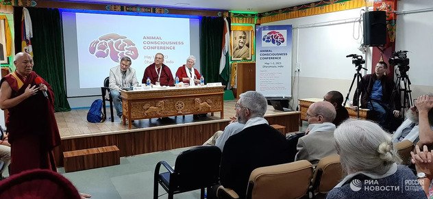 Ученые связали сознание животных со страданием