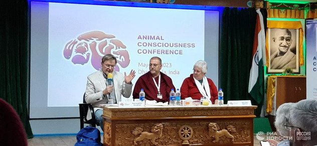 Ученые связали сознание животных со страданием