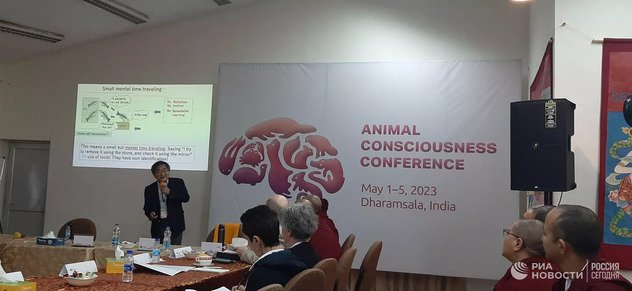 Ученые связали сознание животных со страданием