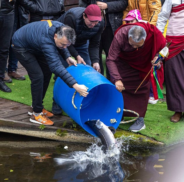 В Подмосковье провели цетар – практику дарования жизни