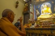 Его Святейшество Далай-лама молится перед статуей Будды в храме Махабодхи. Бодхгая, штат Бихар, Индия. 18 января 2024 г. Фото: Тензин Чойджор (офис ЕСДЛ).