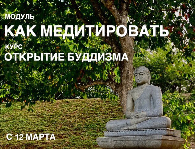Открыта регистрация на модуль «Как медитировать» курса «Открытие буддизма»