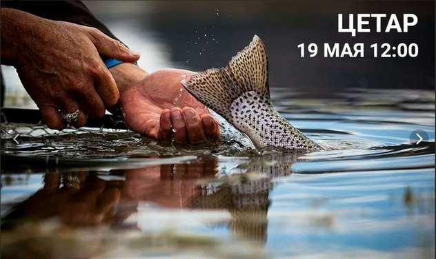 Буддийский центр Арьядевы проведет практику цетар – выкуп и спасение жизней