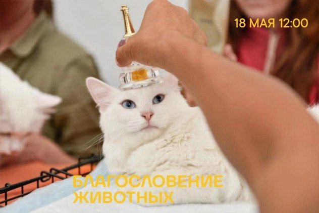 В Санкт-Петербурге состоится буддийская церемония благословения животных под руководством геше Цеванга Дордже