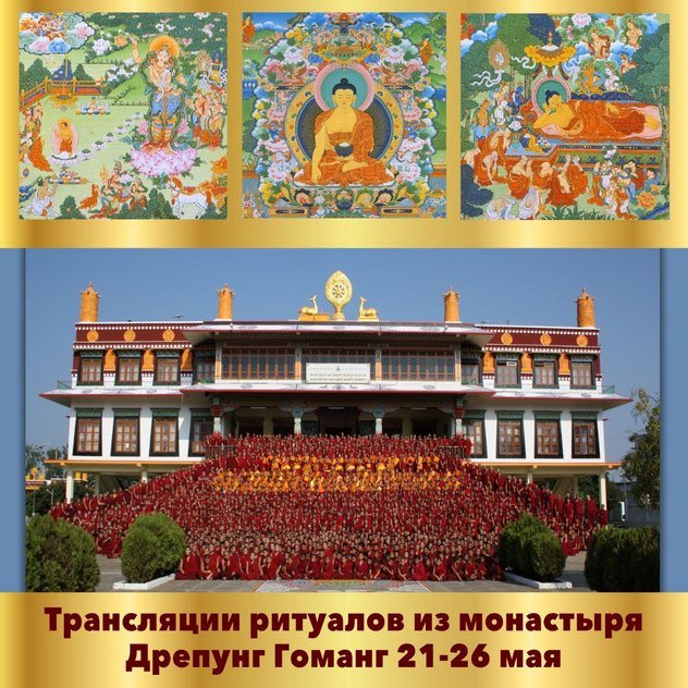 Группа онлайн-ритуалов монастыря Дрепунг Гоманг продолжает трансляции молебнов